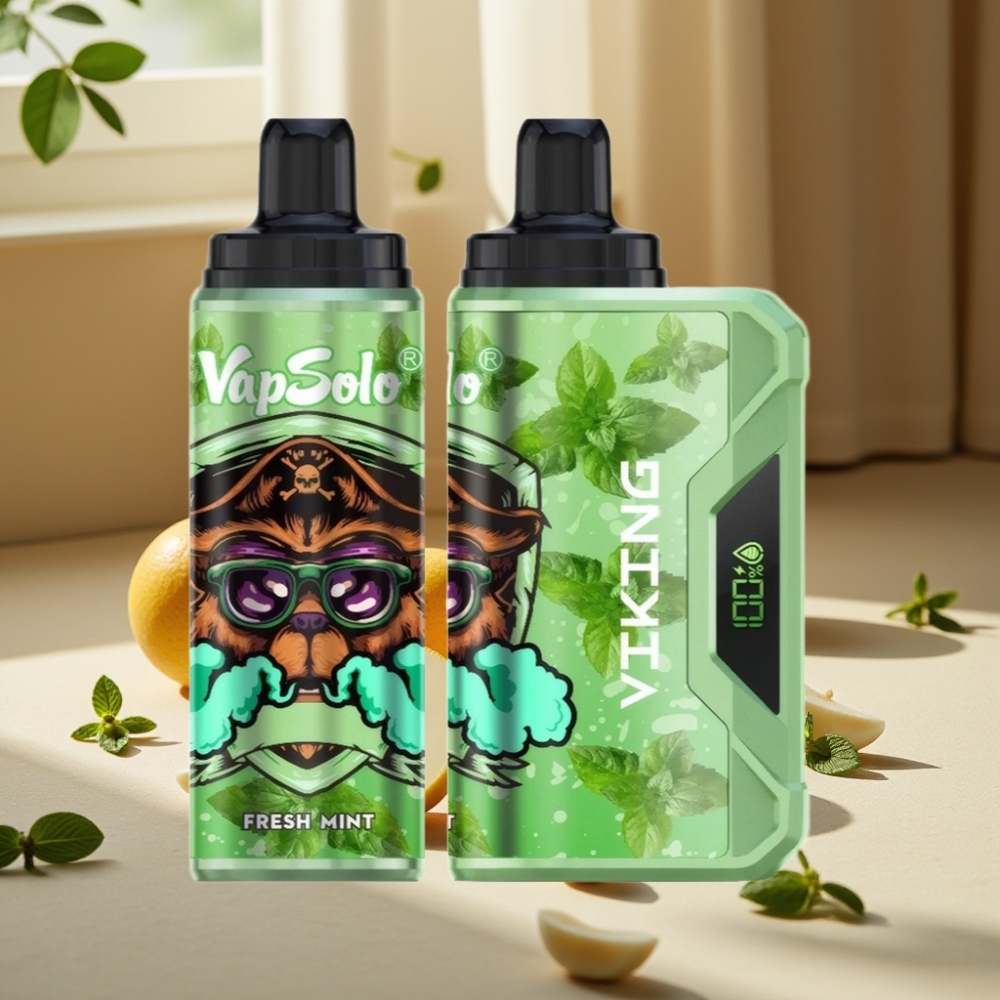 VapSolo VIKING 12000 Puffs Disposable Vape Mentă Proaspătă 22ml 20mg/ml