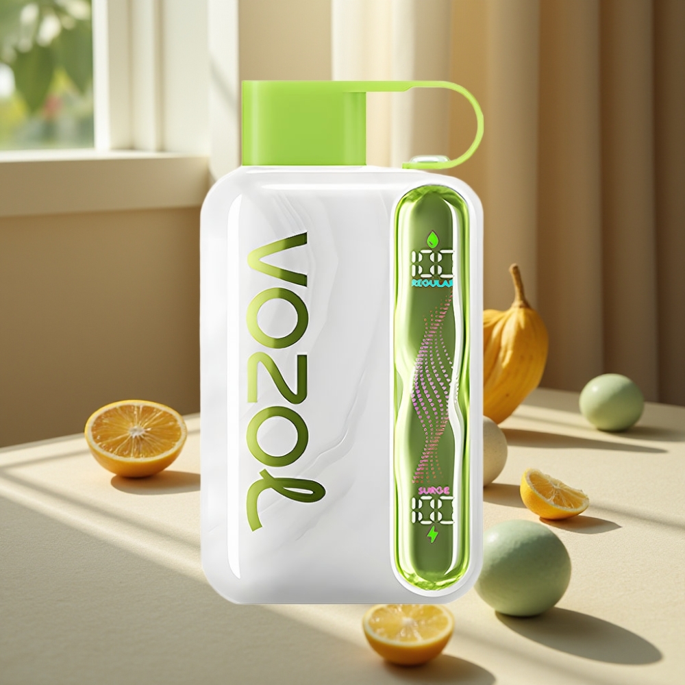 VOZOL STAR 40000 Pufări Disposable Vape Mentă Răcoroasă 1000mAh Tip-C